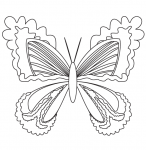 Sommerfugl