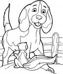 Beagle