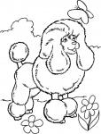 Puddel