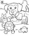 Hund