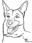 Gjetarhund