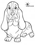 Dachs