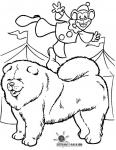 Chow-chow